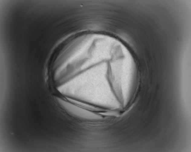 X0000087621070200705251958