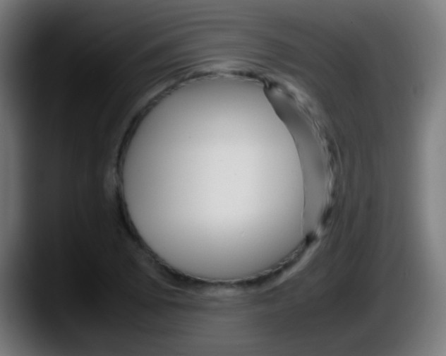 X0000087621073200705251958