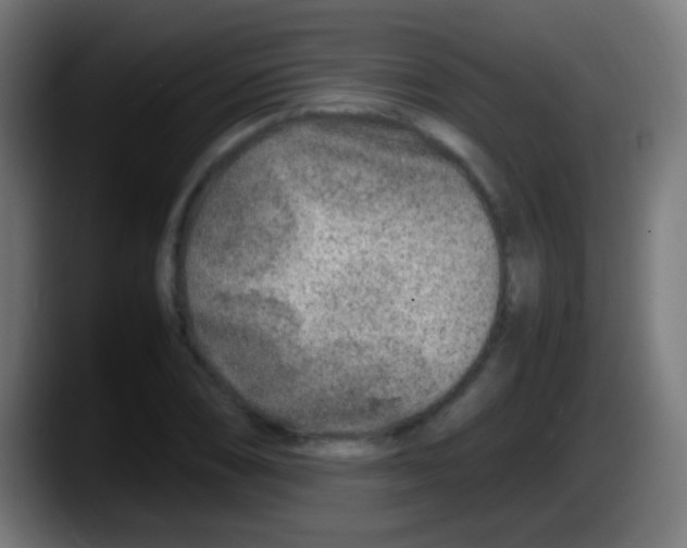 X0000087621074200705251958