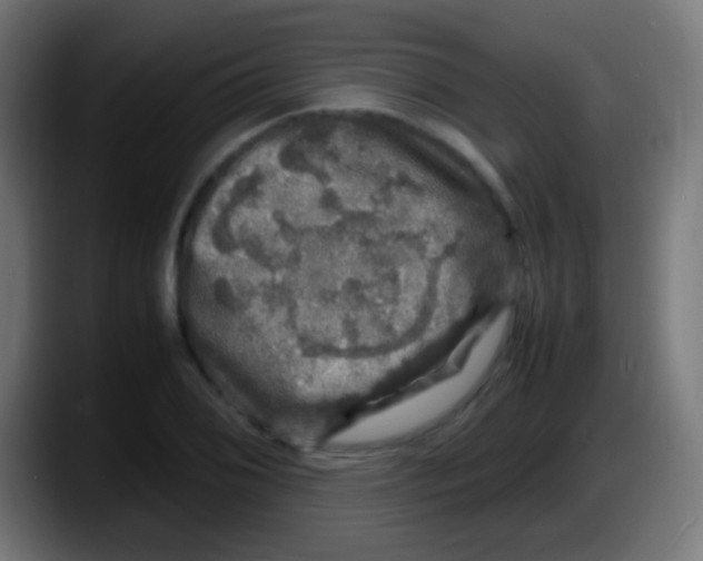 X0000087621076200705251958