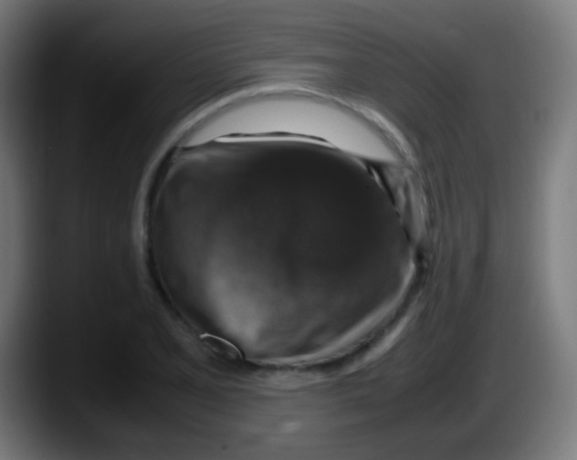 X0000087621077200705251958
