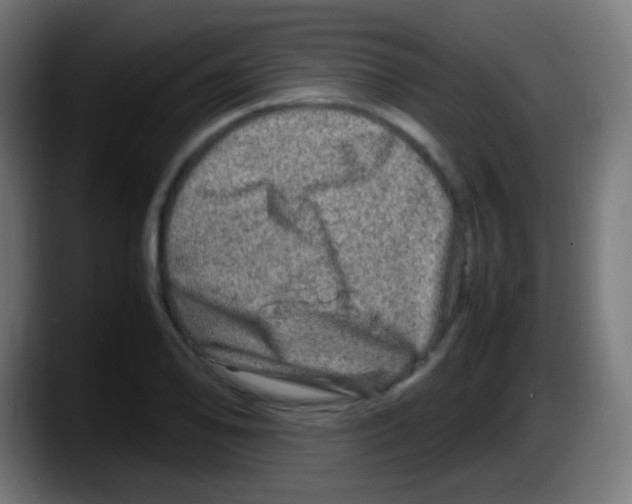X0000087621078200705251958