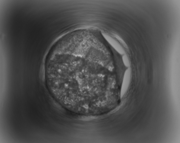 X0000087621079200705251958