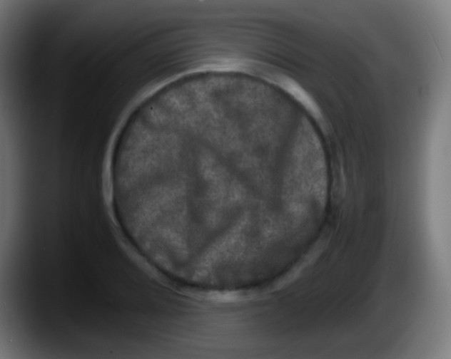 X0000087621080200705251958
