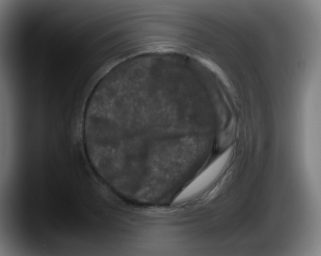 X0000087621081200705251958