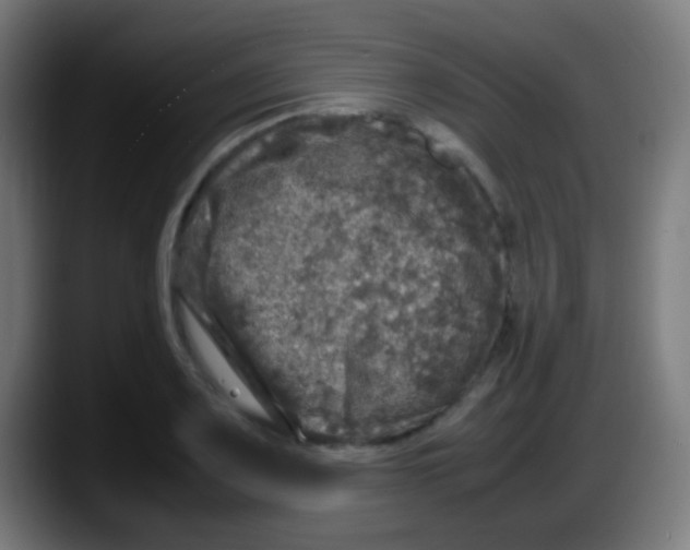 X0000087621083200705251958