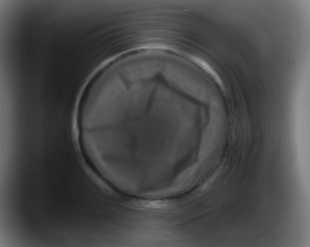 X0000087621084200705251958