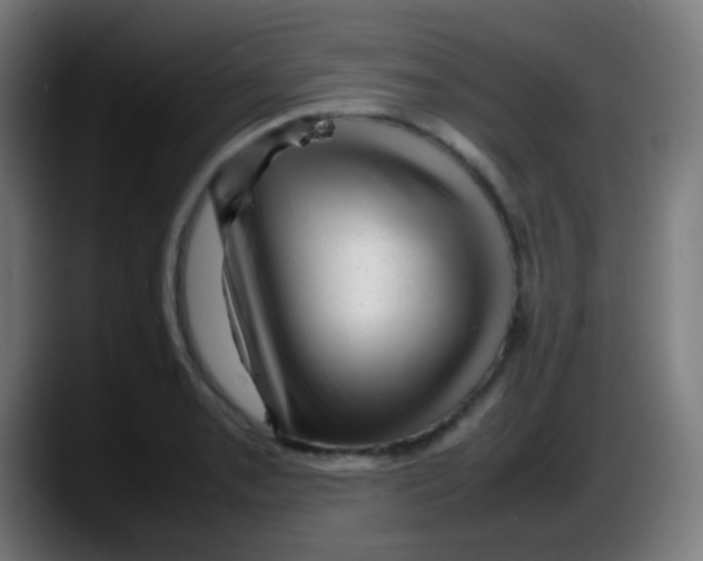 X0000087621085200705251958