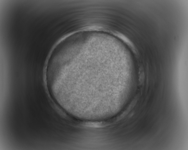 X0000087621086200705251958