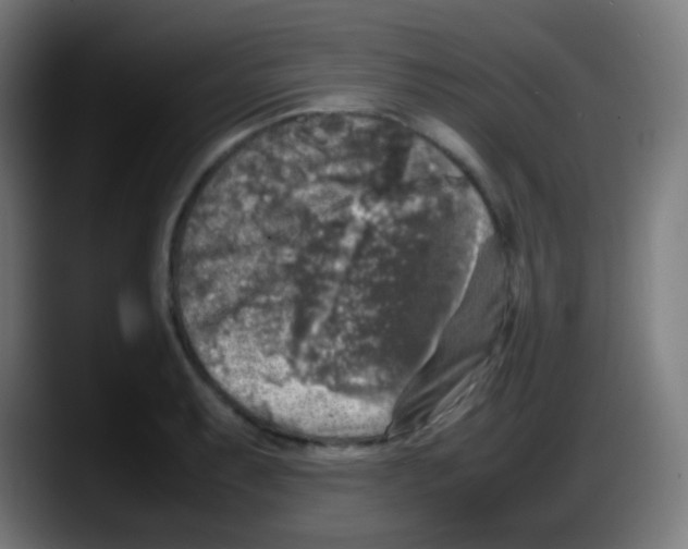 X0000087621087200705251958