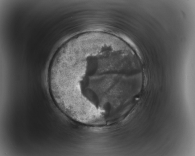 X0000087621088200705251958