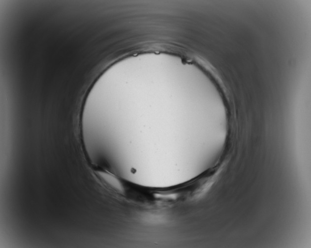 X0000087621089200705251958