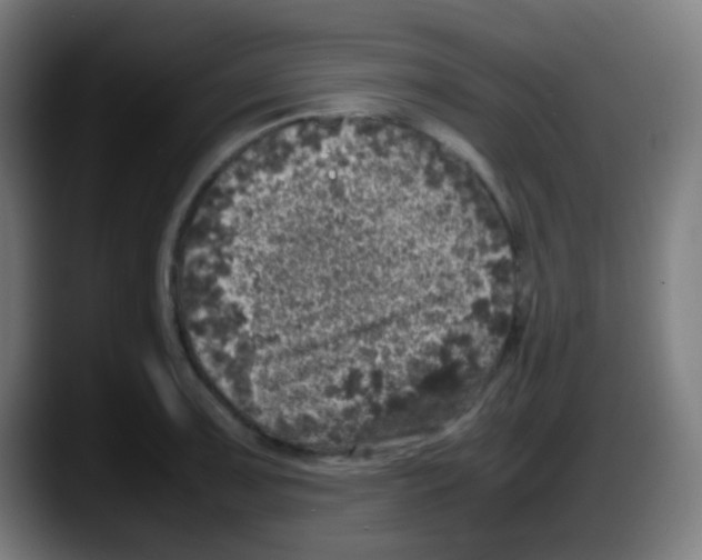 X0000087621091200705251957