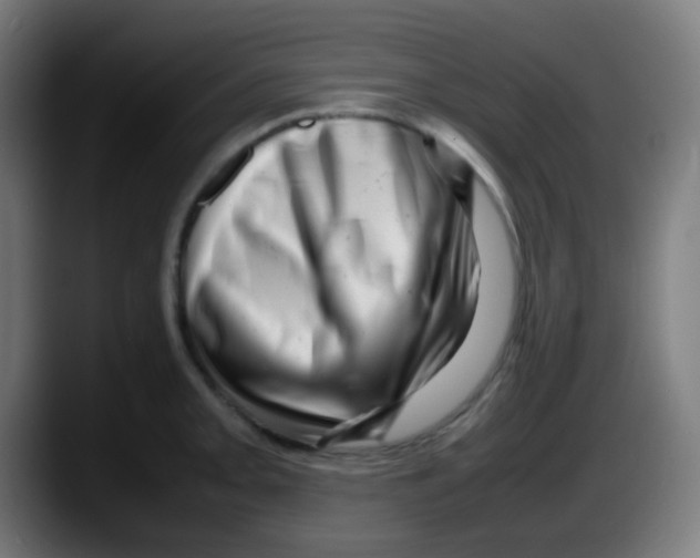 X0000087621093200705251957