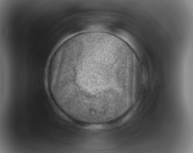X0000087621094200705251957