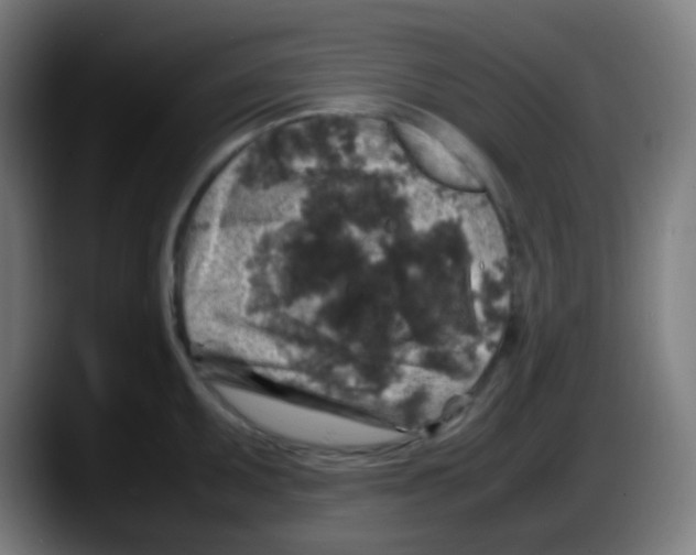 X0000087621095200705251957