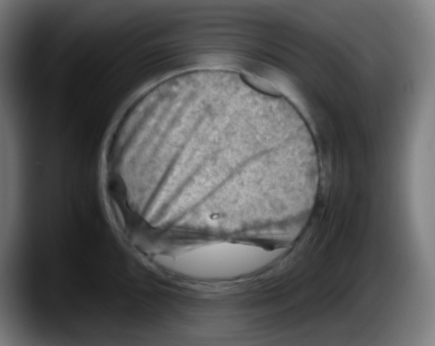 X0000087621096200705251957
