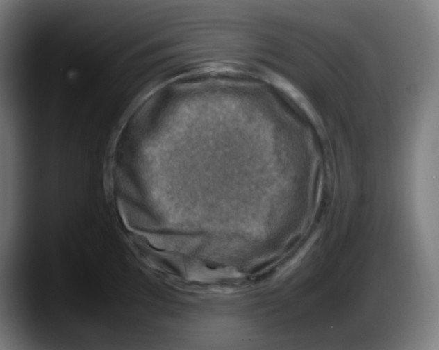 X0000087621097200705251957