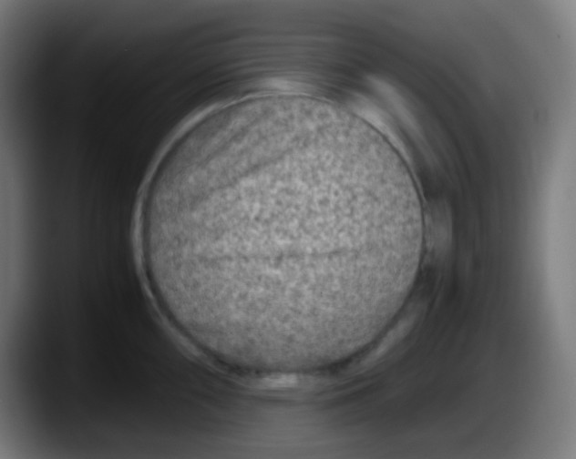 X0000087621098200705251957