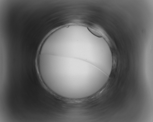 X0000087621100200705251957
