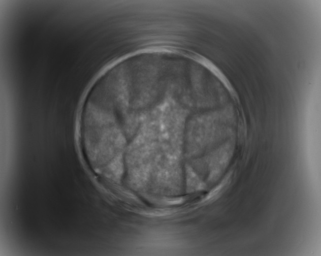 X0000087621101200705251957