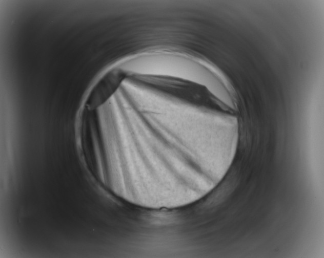 X0000087621102200705251957