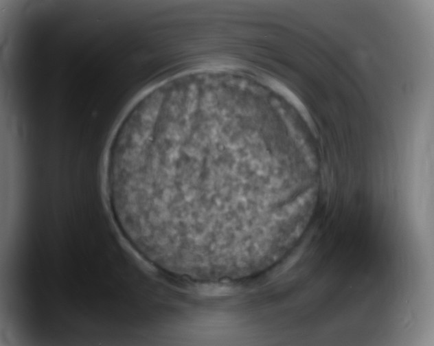 X0000087621103200705251957