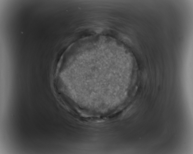 X0000087621105200705251957