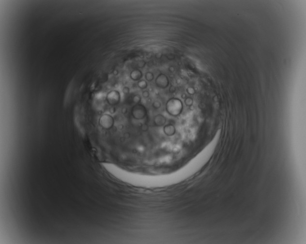 X0000087621106200705251957