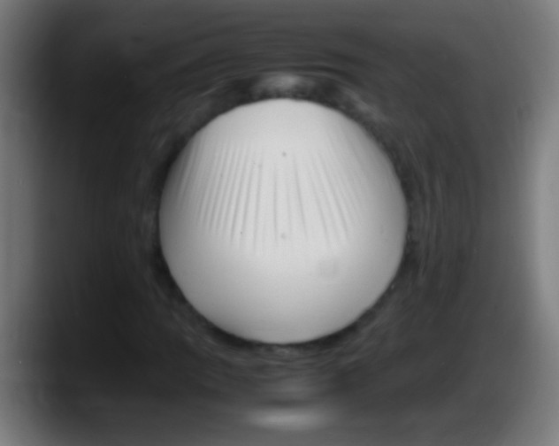 X0000087621109200705251957