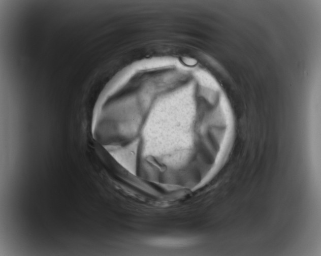X0000087621111200705251957