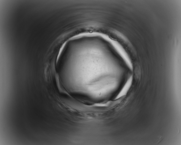 X0000087621112200705251957