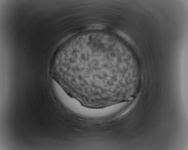 X0000087621113200705251957