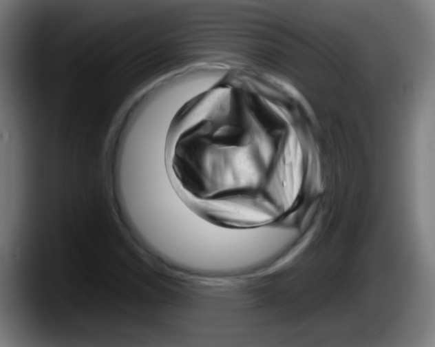 X0000087621114200705251957