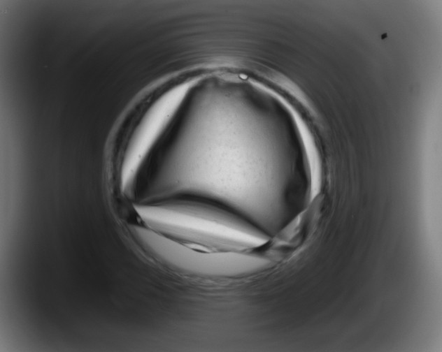 X0000087621116200705251957