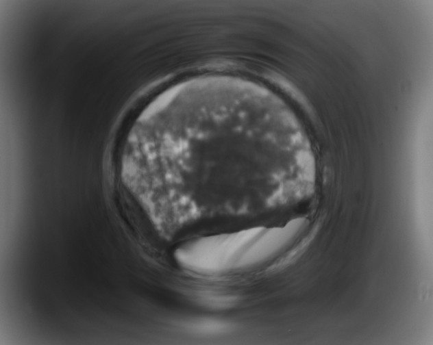 X0000087621117200705251957