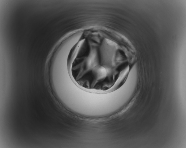 X0000087621118200705251957