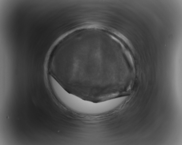 X0000087621120200705251957