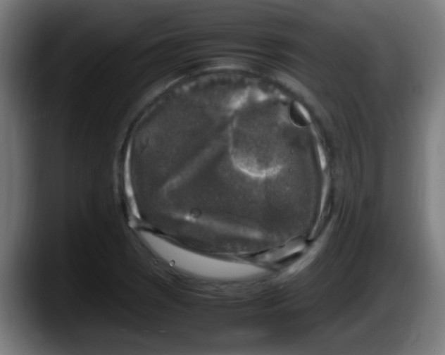 X0000087621121200705251957