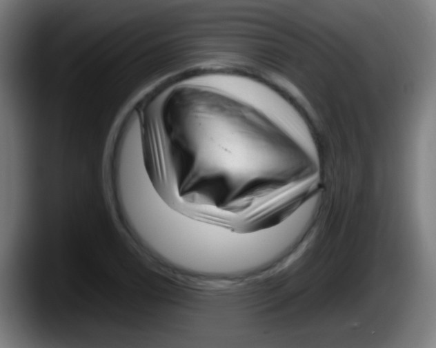X0000087621122200705251957