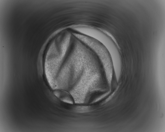 X0000087621123200705251957