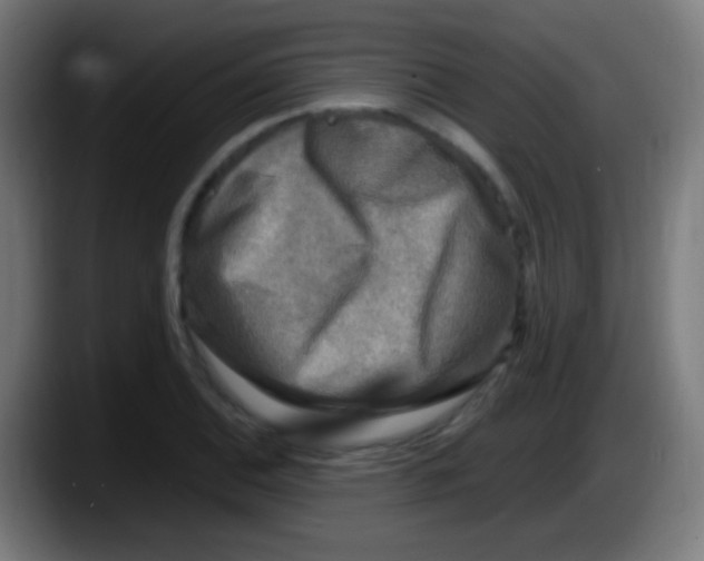 X0000087621124200705251957