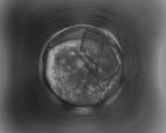 X0000087621125200705251957