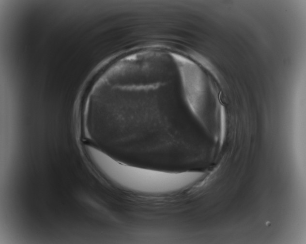 X0000087621127200705251957