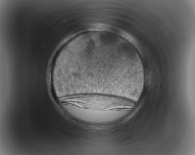 X0000087621130200705251957