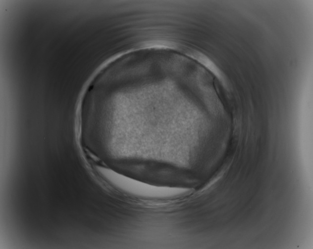 X0000087621132200705251957