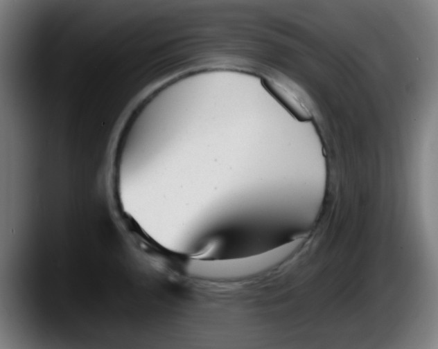X0000087621136200705251957