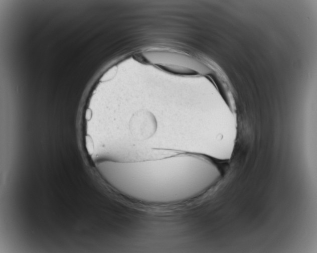 X0000087621138200705251957
