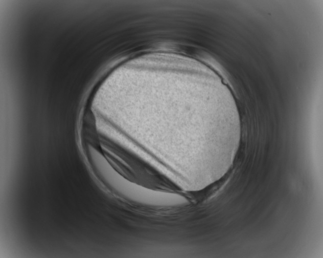 X0000087621139200705251957