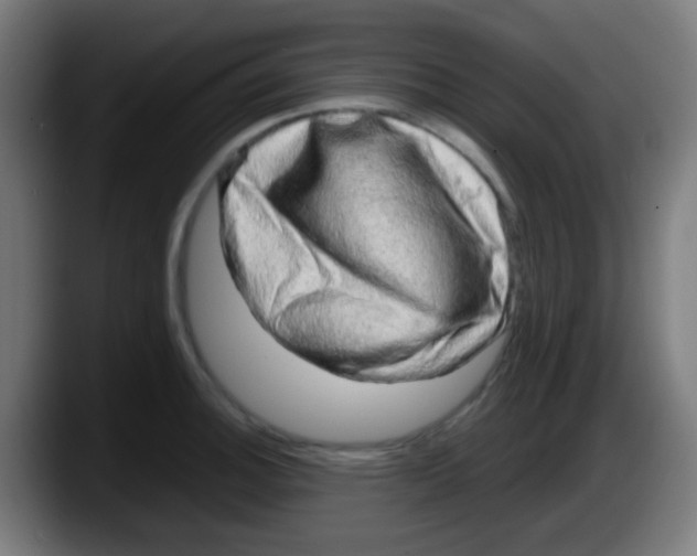 X0000087621140200705251957
